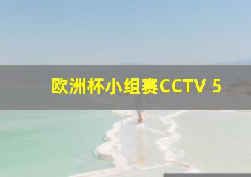 欧洲杯小组赛CCTV 5